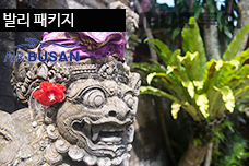 �߸� ��Ű�� BX