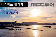 �Ϻ� ��ī���� BX